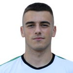 N. Zlatev