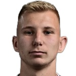 M. Hamzic