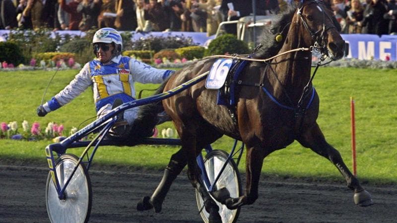 Varenne, deceduto a 31 anni il trottatore più grande della storia: 62 successi su 73 gare. 1