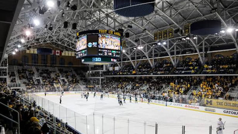 Abusi sessuali nell'hockey: sedici ex giocatori del Michigan intentano causa all'università 1